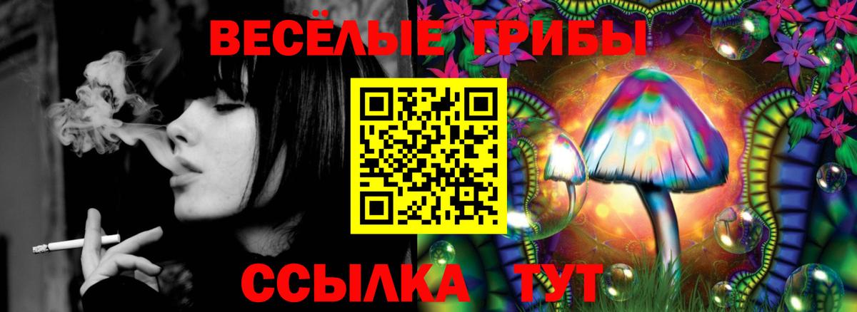 Галлюциногенные грибы Psilocybine cubensis Хасавюрт