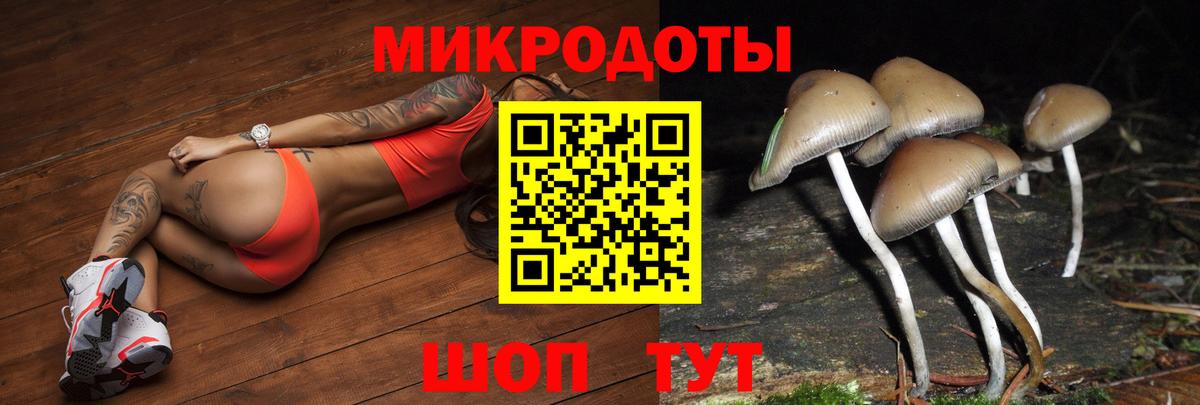 Галлюциногенные грибы прущие грибы  Вход с VPN  Хасавюрт 